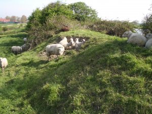 mooi leven op de kanaaldijk
